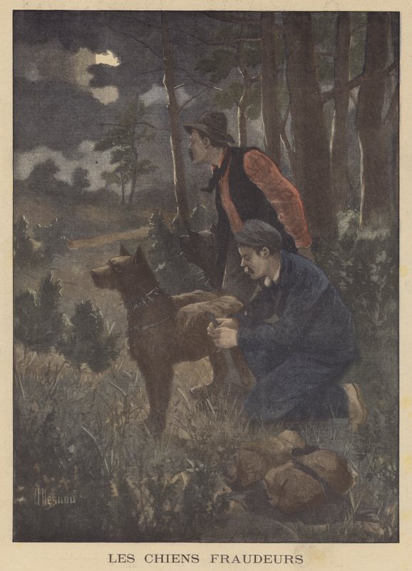 Perros usados por contrabandistas para llevar contrabando a través de la frontera de Albert Besnou