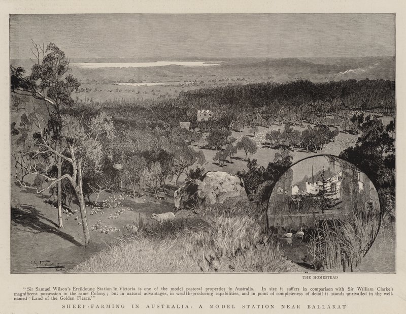 Cría de ovejas en Australia, una estación modelo cerca de Ballarat de Albert Henry Fullwood