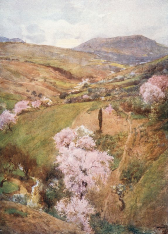 Día de primavera en un valle cerca de Girgenti de Alberto Pisa
