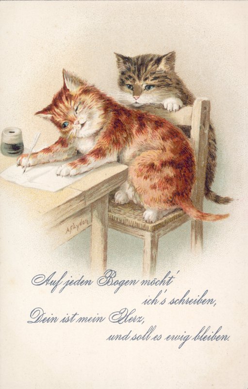Postal humorística de gatos (litografía en color) de Alexander Francis (after) Lydon