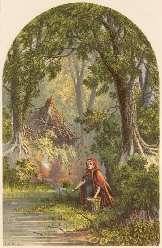 Ilustración para 