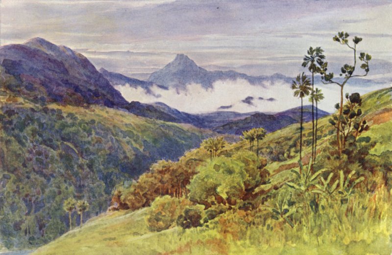 Niebla Matutina en el Valle del Mahawelli Gangha de Alexander Henry Hallam Murray