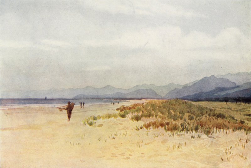 La costa del mar al norte de Viareggio (litografia en color) de Alexander Henry Hallam Murray