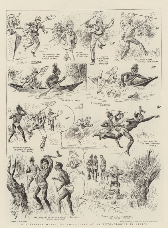 Caza de Mariposas, las Aventuras de un Entomólogo en África de Alexander Stuart Boyd