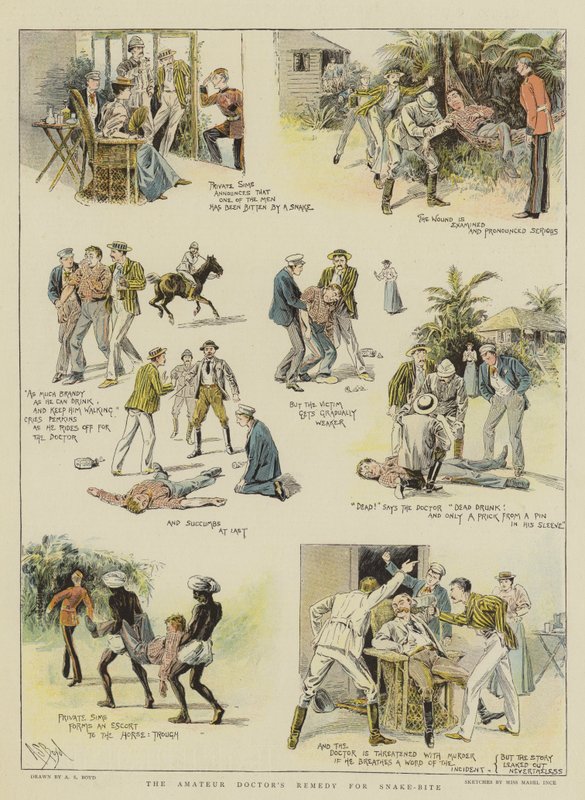 El Remedio del Doctor Aficionado para la Mordedura de Serpiente de Alexander Stuart Boyd