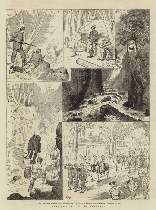 Caza de osos en los Pirineos de Alfred Chantrey Corbould
