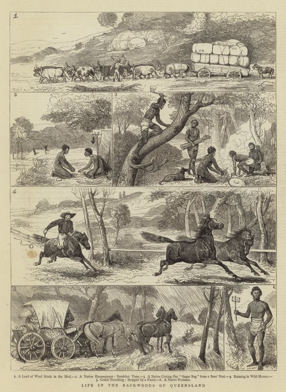 Vida en el interior de Queensland de Alfred Chantrey Corbould