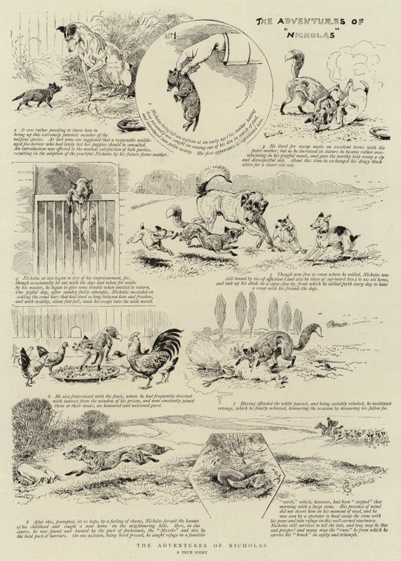Las aventuras de Nicolás de Alfred Chantrey Corbould
