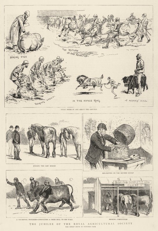 El Jubileo de la Real Sociedad Agrícola de Alfred Chantrey Corbould