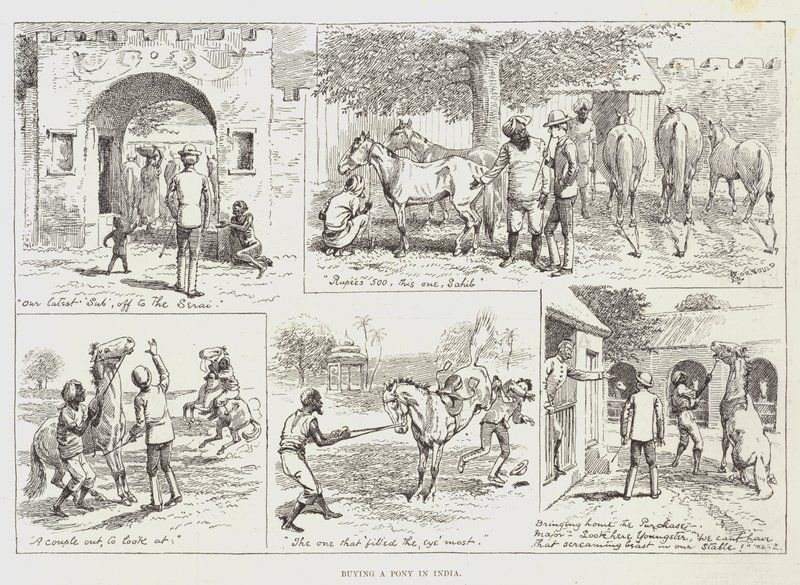 Comprando un pony en India de Alfred Courbould