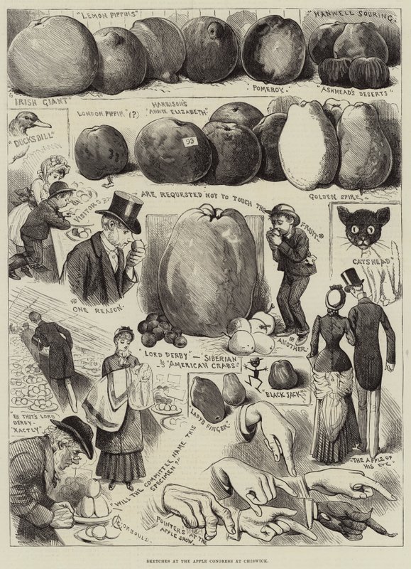 Bocetos en el Congreso de Manzanas en Chiswick de Alfred Courbould