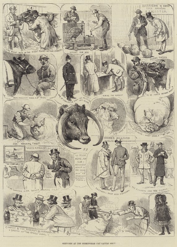 Bocetos en la Exposición de Ganado Gordo de Birmingham de Alfred Courbould