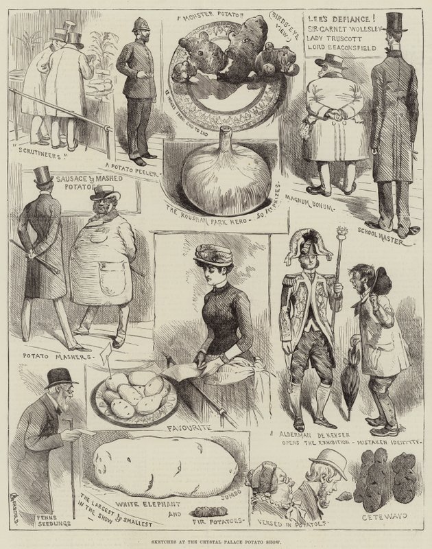 Bocetos en la Exposición de Patatas del Crystal Palace de Alfred Courbould
