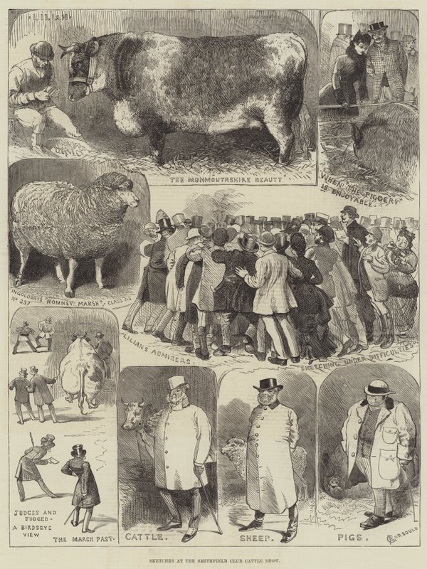 Bocetos en la Exposición de Ganado del Club Smithfield de Alfred Courbould