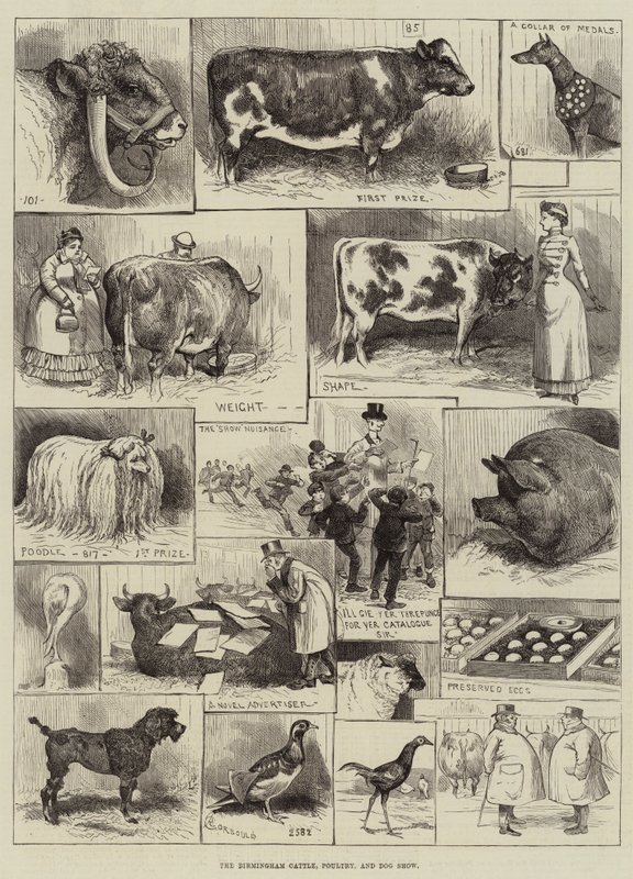 La Exposición de Ganado, Aves y Perros de Birmingham de Alfred Courbould