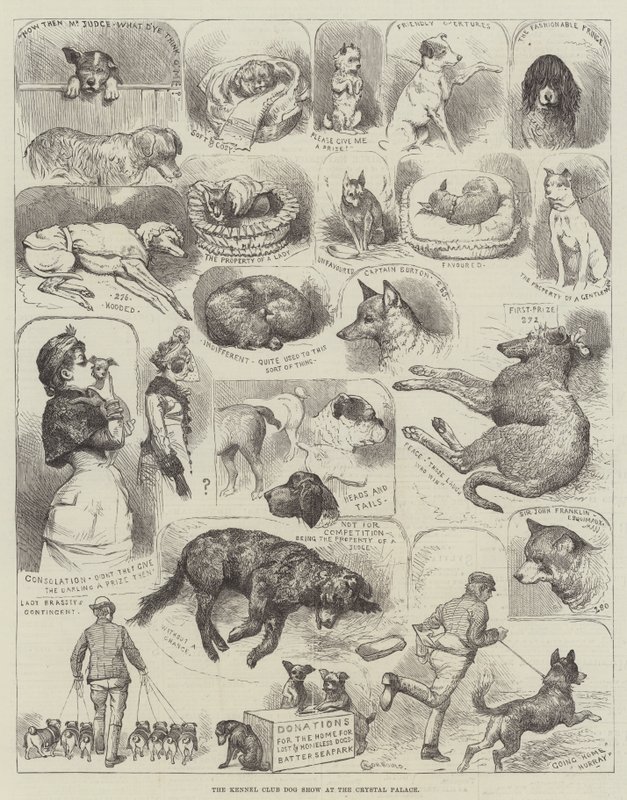 Exposición Canina del Kennel Club en el Crystal Palace de Alfred Courbould
