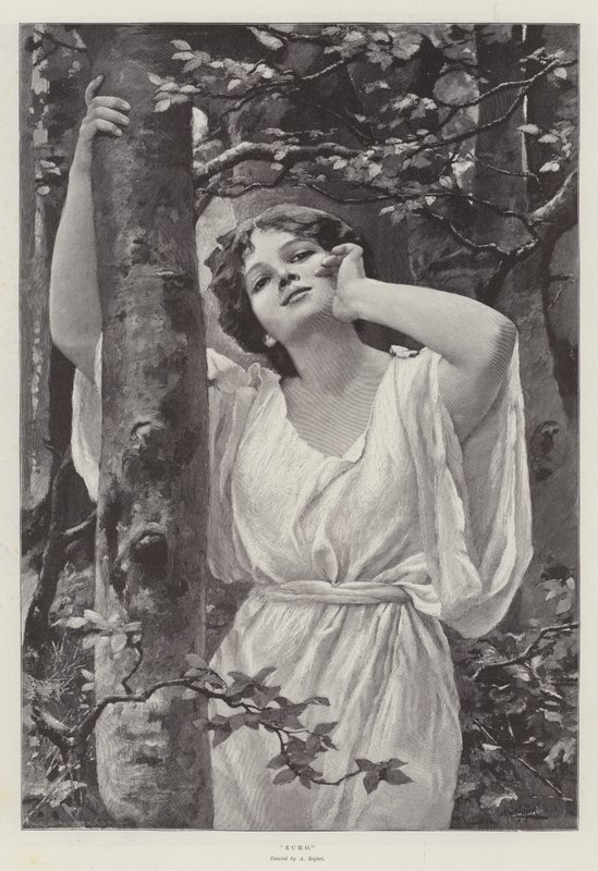 Eco de Alfred Seifert