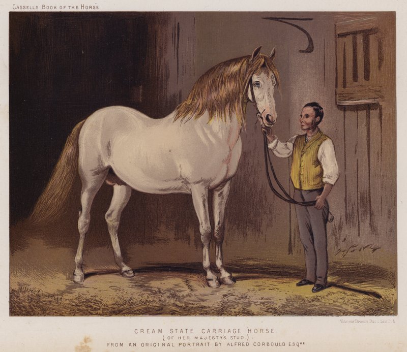 Caballo de carroza estatal crema, del establo de Su Majestad (litografía en color) de Alfred Chantrey Corbould