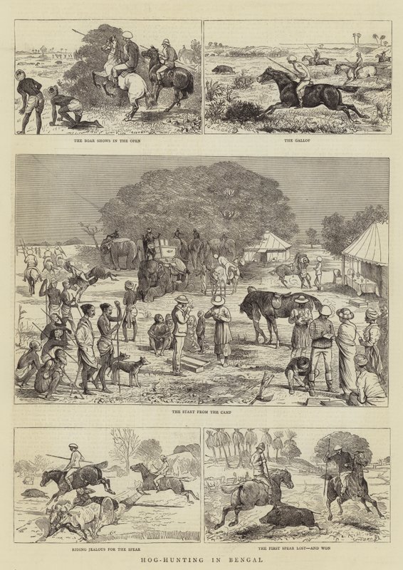 Caza de jabalíes en Bengala de Alfred Chantrey Corbould