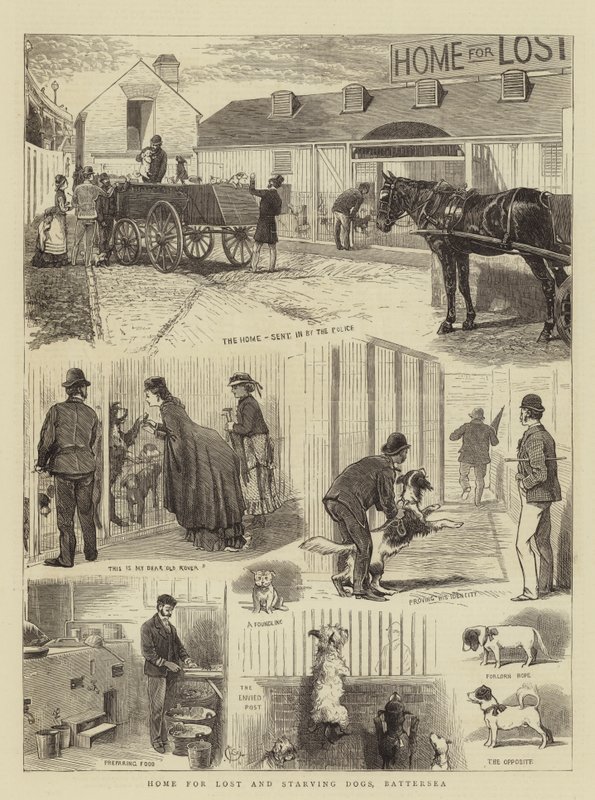 Hogar para Perros Perdidos y Hambrientos, Battersea de Alfred Chantrey Corbould