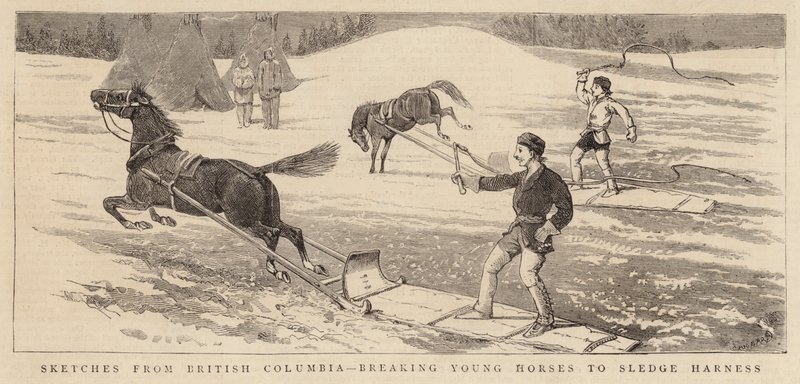 Bocetos de Columbia Británica, domando caballos jóvenes para el arnés de trineo de Alfred Chantrey Corbould