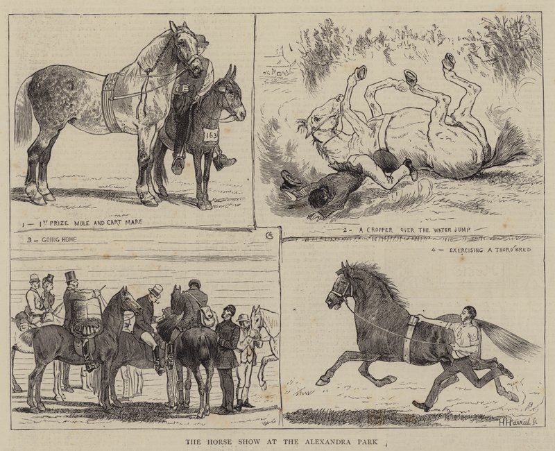 La exposición de caballos en el Alexandra Park de Alfred Chantrey Corbould