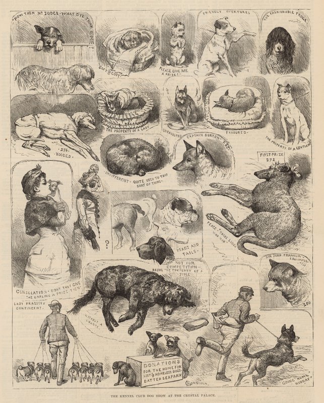 La Exposición Canina del Kennel Club en el Crystal Palace de Alfred Chantrey Corbould