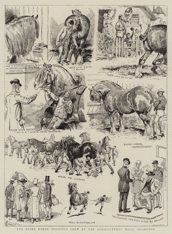 Exposición de la Sociedad del Caballo Shire en el Agricultural Hall, Islington de Alfred Chantrey Corbould