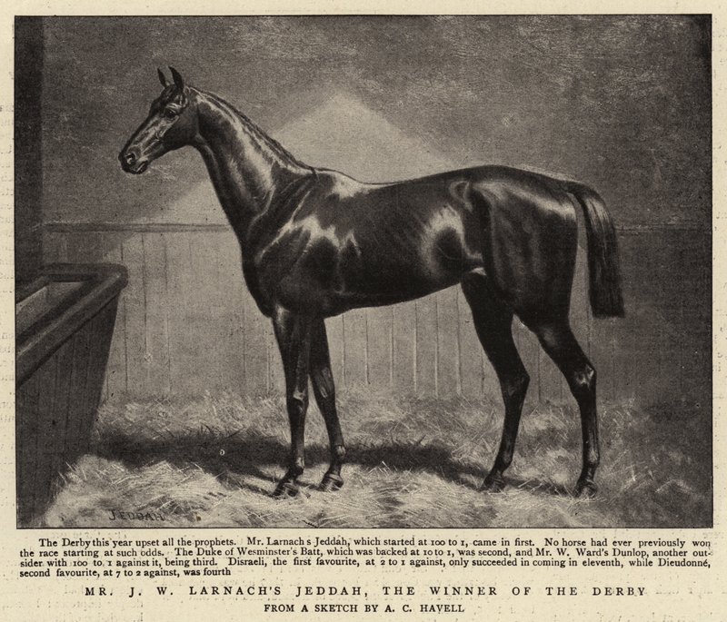 Mr J W Larnachs Jeddah, el ganador del Derby de Alfred Charles Havell