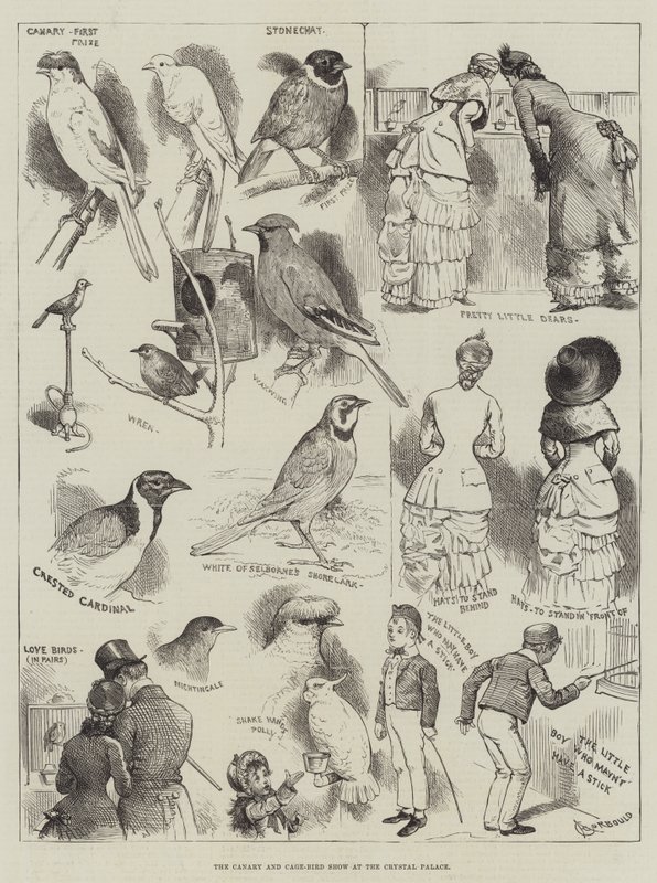 La exposición de canarios y aves enjauladas en el Crystal Palace de Alfred Courbould