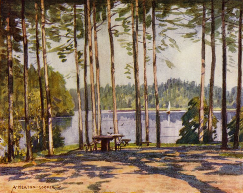 Dinamarca: Gribscoven, el lago del pabellón del rey (litografia en color) de Alfred Heaton Cooper