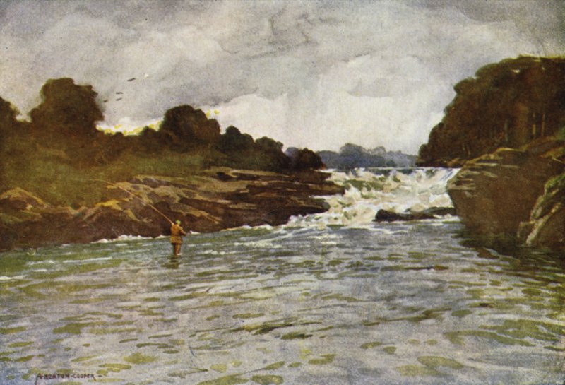 Cataratas de Kathleen, Ballyshannon de Alfred Heaton Cooper