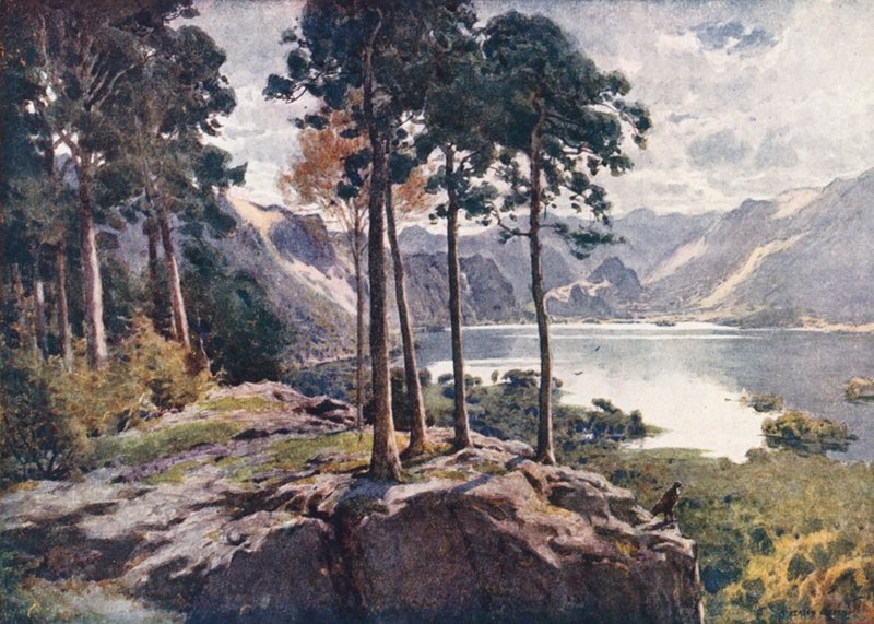 Distrito de los Lagos: Derwentwater, desde Castle Head, una mañana luminosa (litografía en color) de Alfred Heaton Cooper