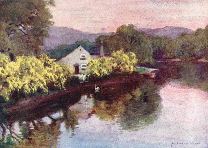 Distrito de los Lagos: Viejos Laburnos en Newby Bridge, Windermere (litografía en color) de Alfred Heaton Cooper
