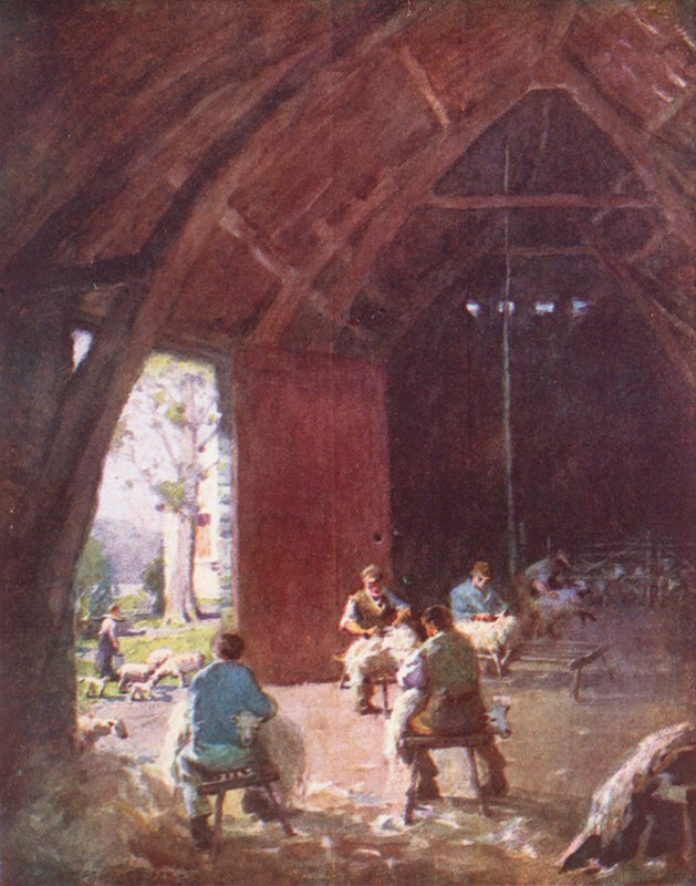 Distrito de los Lagos: Sheep-Shearing, Esthwaite Hall Farm (litografía en color) de Alfred Heaton Cooper