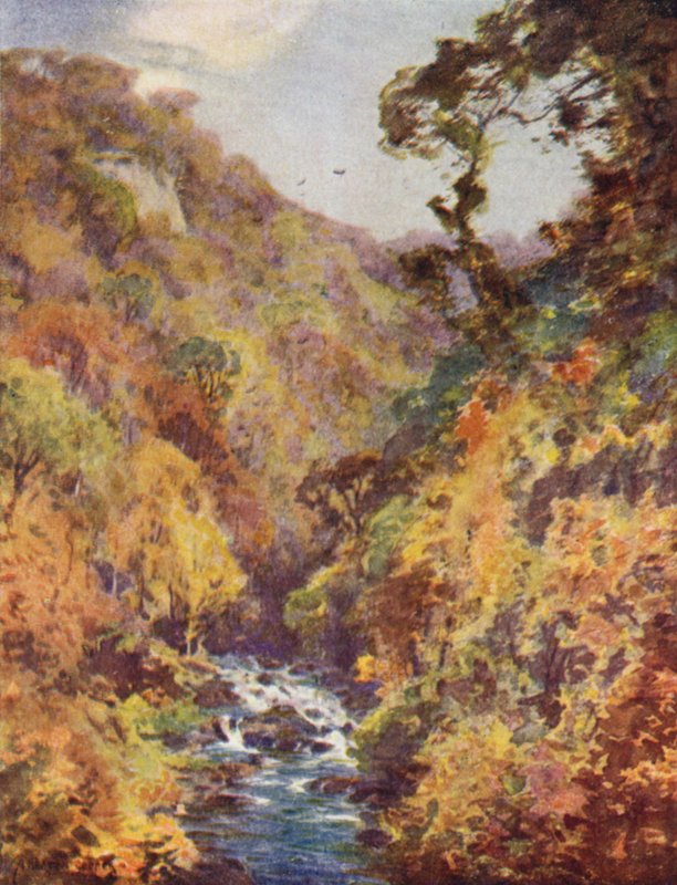 El Dargle, Condado de Wicklow de Alfred Heaton Cooper