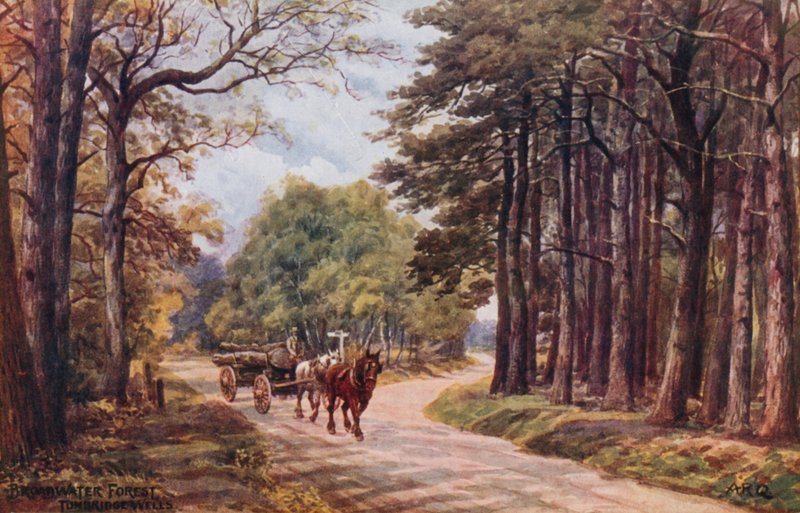 Bosque de Broadwater, Tunbridge Wells de Alfred Robert Quinton
