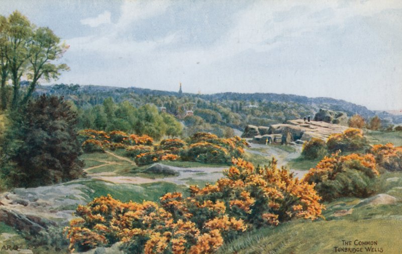 El Común, Tunbridge Wells de Alfred Robert Quinton