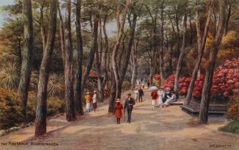 El Paseo de los Pinos, Bournemouth de Alfred Robert Quinton