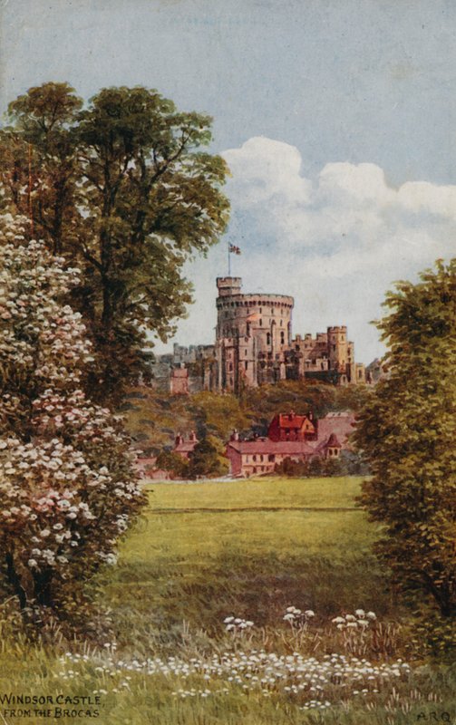 Castillo de Windsor desde The Brocks de Alfred Robert Quinton