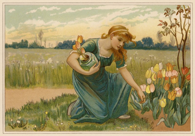 La margarita (cromolito) de Alice Havers