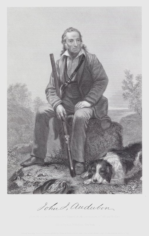 John James Audubon de Alonzo (after) Chappel