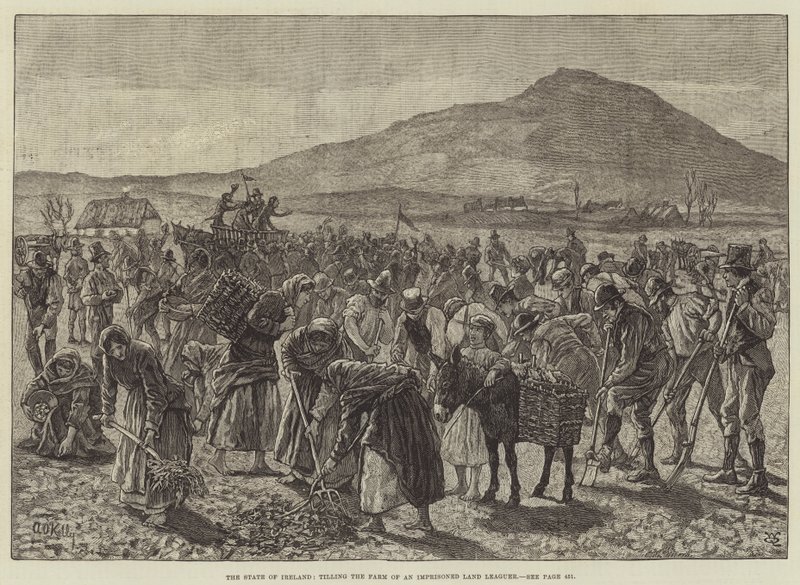 El estado de Irlanda, labrando la granja de un miembro encarcelado de la Liga de la Tierra de Aloysius O