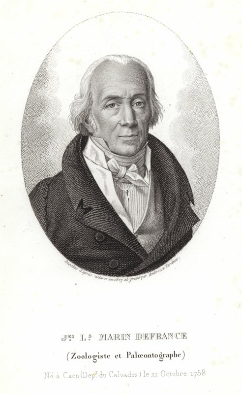 Jacques-Louis Marin de France de Ambroise Tardieu