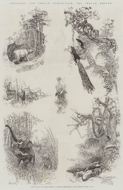 Exposición Colonial e India, el Imperio Indio de Amedee Forestier