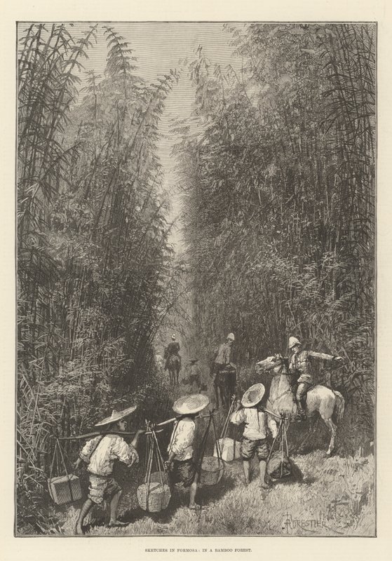 Bocetos en Formosa, en un bosque de bambú de Amedee Forestier