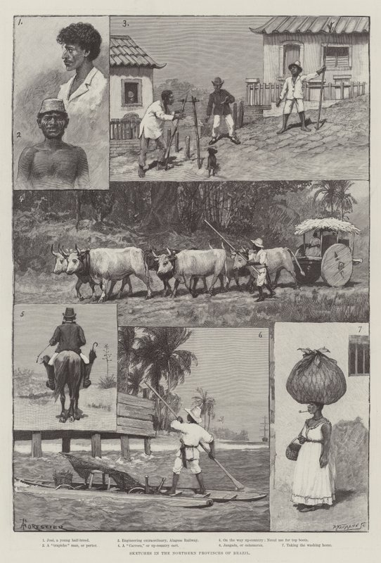 Bocetos en las provincias del norte de Brasil de Amedee Forestier