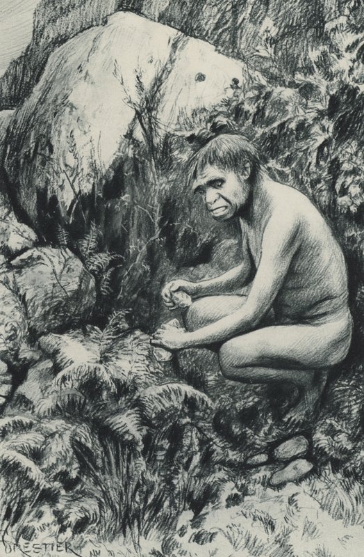 El antiguo inquilino del Viejo Plateau, quizás hace diez mil siglos de Amedee Forestier