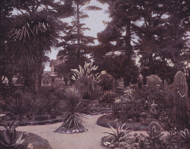 Un jardín de cactus del sur de California (foto en b/n) de American Photographer (after)