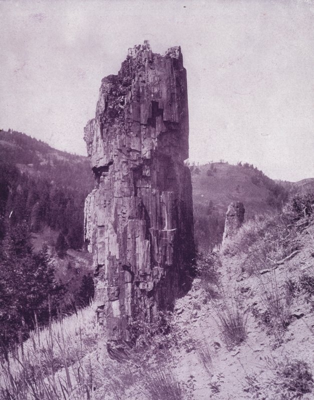 Un árbol petrificado en las tierras baldías de Dakota (foto en b/n) de American Photographer (after)